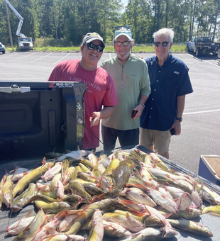 Enjoy Fishing at Lake Martin